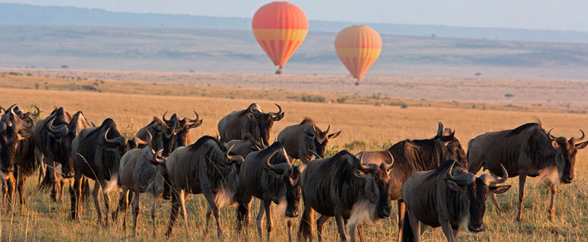 3 Days Masai Mara Game Reserve Safari Package