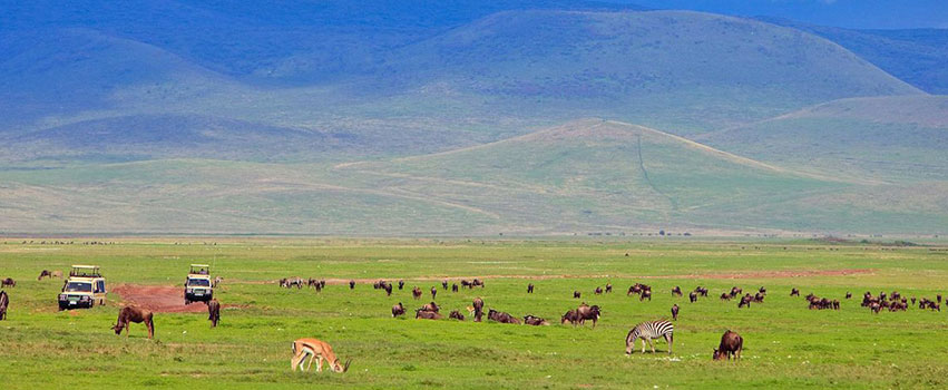 05 Days Lake Manyara, Serengeti National Park And Ngorongoro Crater Wonderful Budget Safari.(With An Full Extra Day At Serengeti N.P)erengeti N.P)